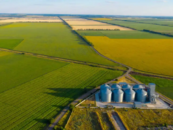 62 hs Campo Ganadero agropecuario – Chacabuco