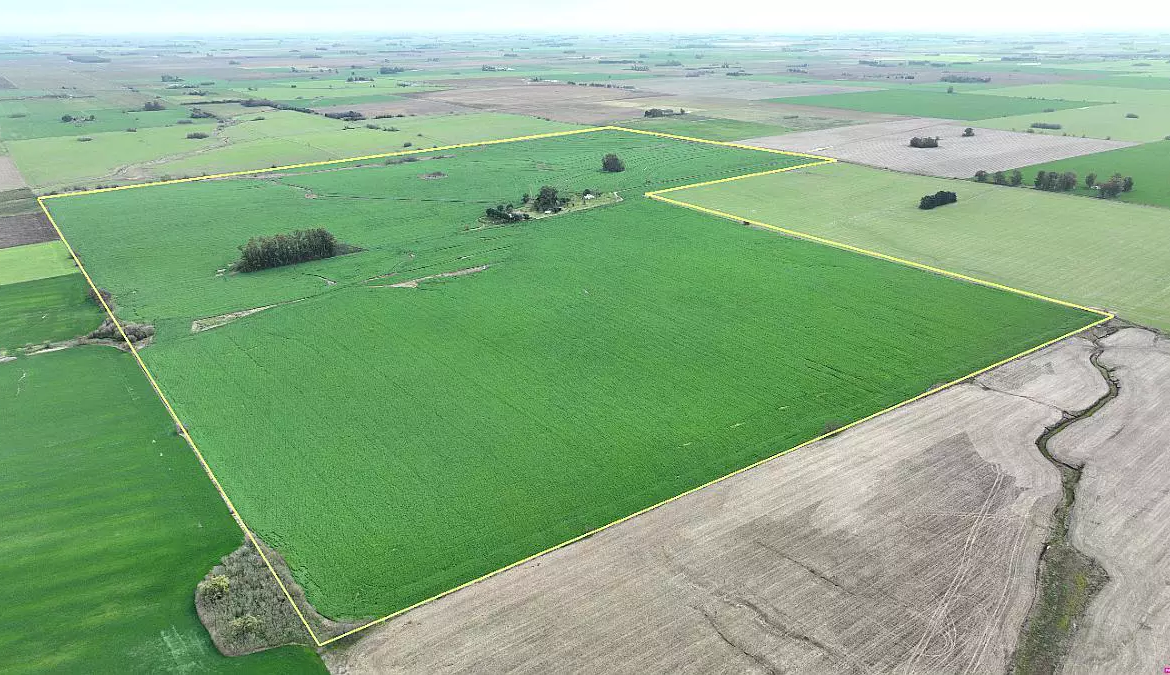 20 hs Campo agropecuario – Chacabuco